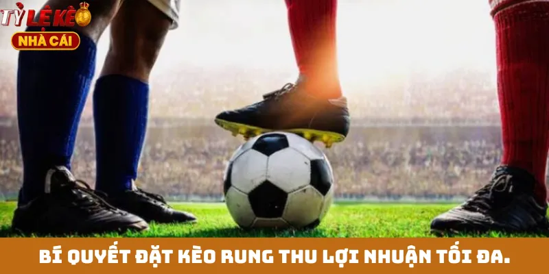 Bí quyết đặt kèo rung thu lợi nhuận tối đa.