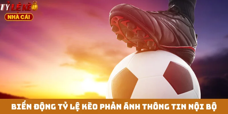 Biến động tỷ lệ kèo phản ánh thông tin nội bộ