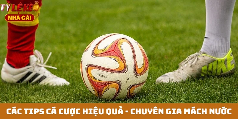 Các tips cá cược hiệu quả