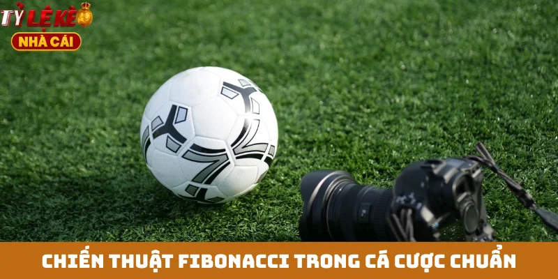 Chiến thuật Fibonacci trong cá cược