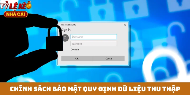 Chính sách bảo mật quy định dữ liệu thu thập