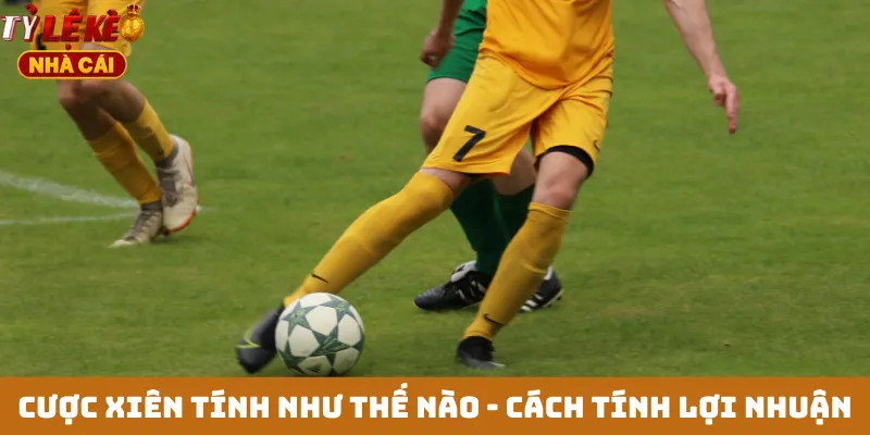 Cược xiên tính như thế nào