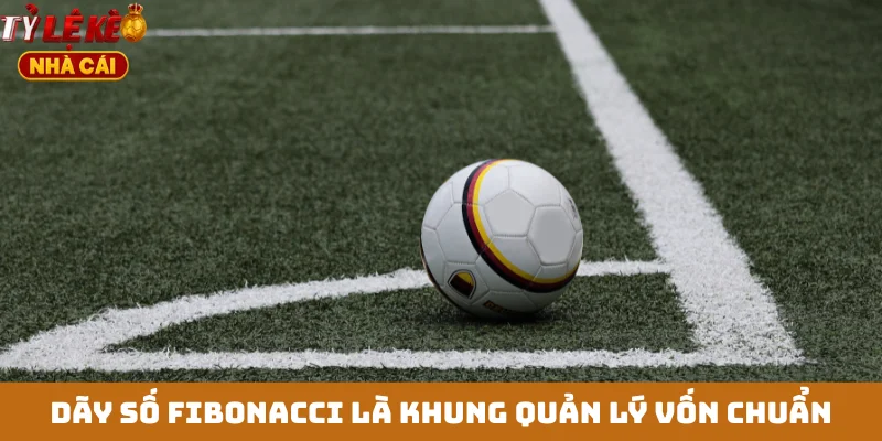 Dãy số Fibonacci là khung quản lý vốn chuẩn