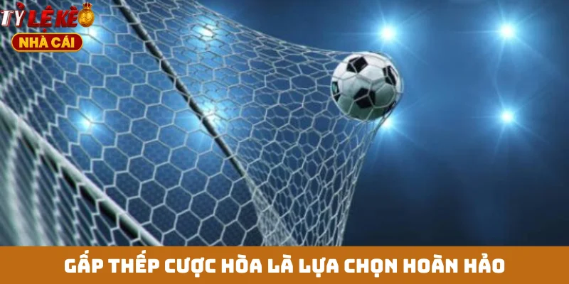 Gấp thếp cược hòa là lựa chọn hoàn hảo