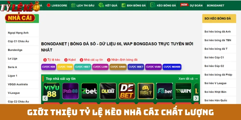 Giới thiệu tỷ lệ kèo nhà cái chất lượng