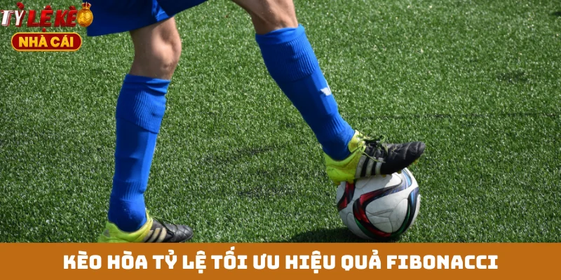 Kèo hòa tỷ lệ tối ưu hiệu quả Fibonacci