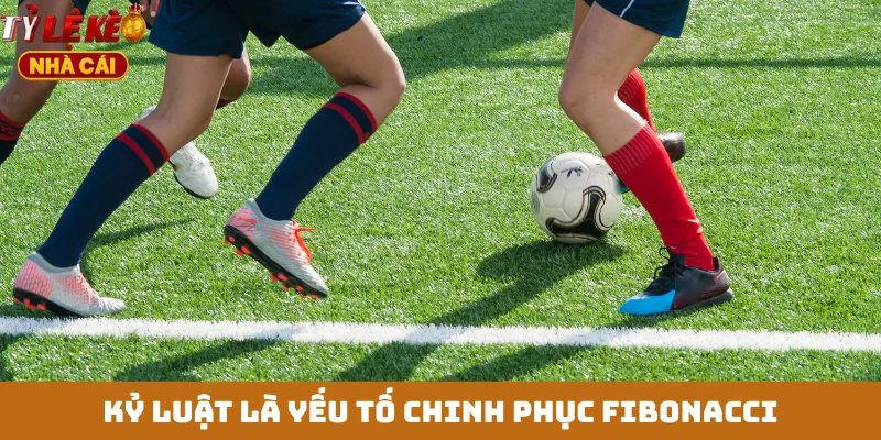 Kỷ luật là yếu tố chinh phục Fibonacci