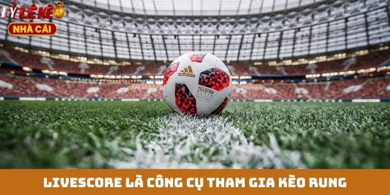 Livescore là công cụ tham gia kèo rung