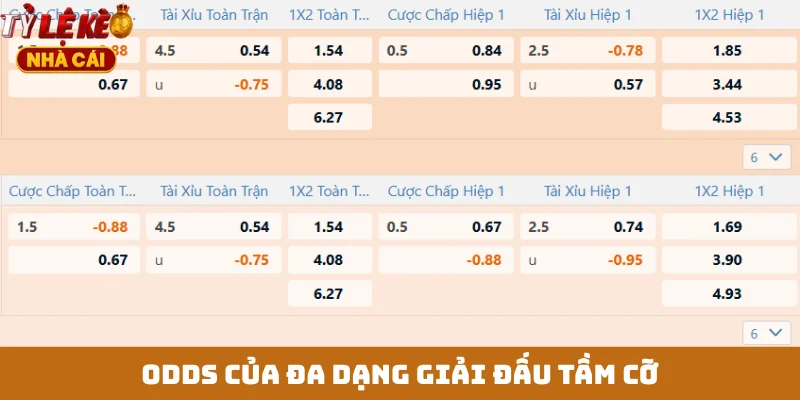 Odds của đa dạng giải đấu tầm cỡ