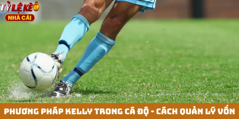 Phương pháp Kelly trong cá độ