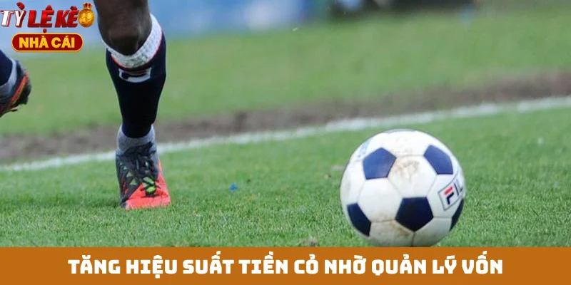 Tăng hiệu suất tiền cỏ nhờ quản lý vốn