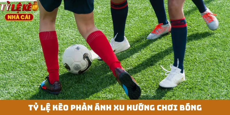 Tỷ lệ kèo phản ánh xu hướng chơi bóng