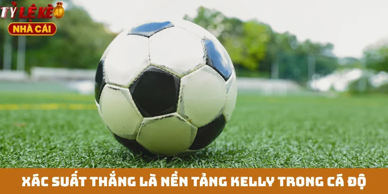 Xác suất thắng là nền tảng Kelly trong cá độ